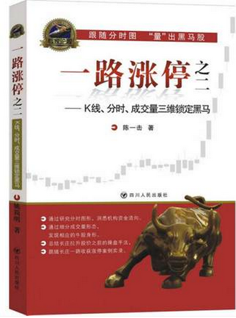 一路涨停2pdf下载