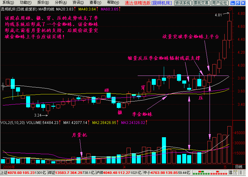 新生300天图解教程之金蜘蛛K线图解