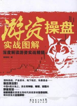 游资操盘实战图解pdf下载