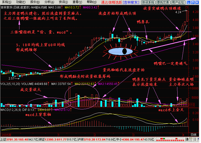 新生300天图解教程之老鸭头K线图解