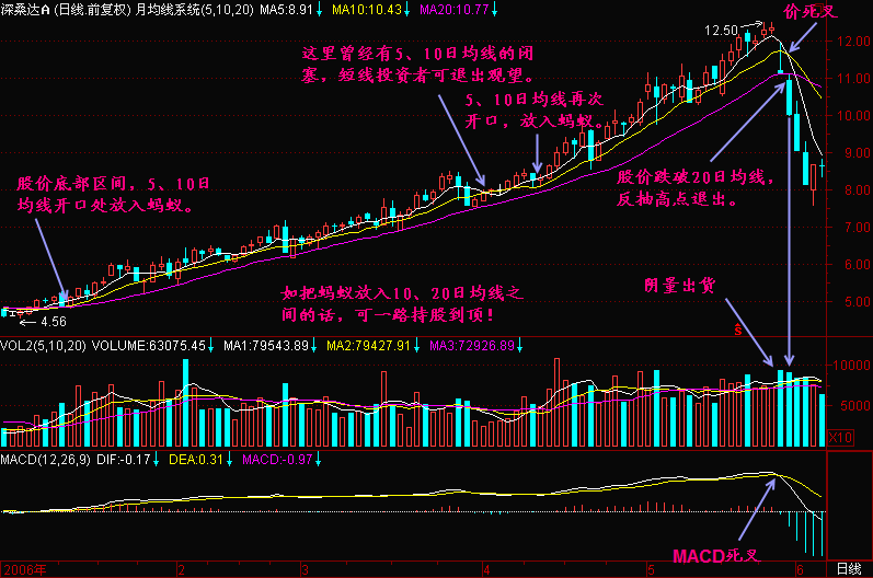 300天图解教程之蚂蚁功K线图解