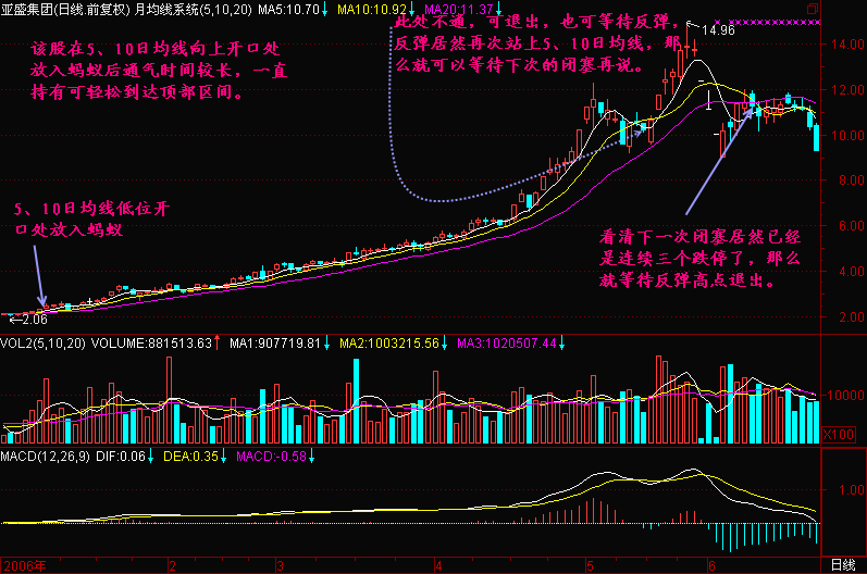 300天图解教程之蚂蚁功K线图解