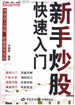 新手炒股快速入门pdf