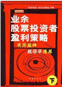 业余股票投资者盈利策略下pdf