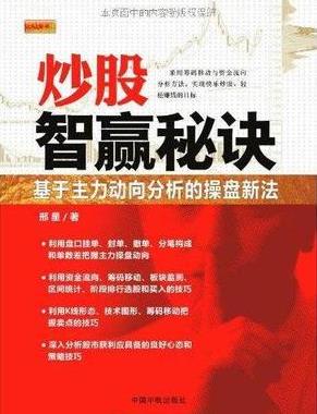 炒股智赢秘诀:基于主力动向分析的操盘新法pdf下载