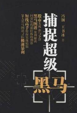 捕捉超级黑马pdf