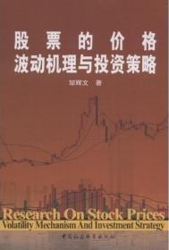 股票的价格波动机理与投资策略pdf