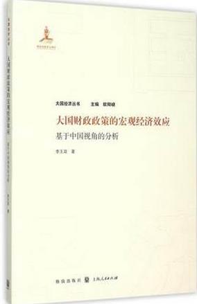 大国财政政策的宏观经济效应pdf