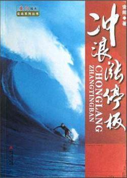 冲浪涨停板pdf