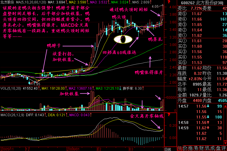 300天图解教程之老鸭头技术要求K线图解