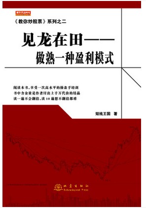 见龙在田 做熟一种盈利模式pdf下载