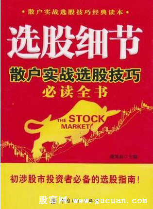 选股细节(散户实战选股技巧必读全书)pdf下载