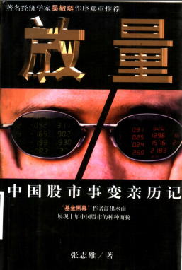 放量 中国股市事变亲历记PDF