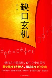 缺口玄机PDF下载