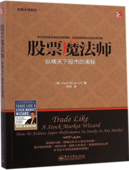 《股票魔法师:纵横天下股市的奥秘》PDF下载