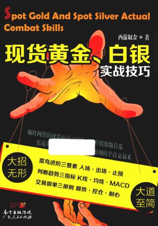 ֻƽ𡢰ʵս  PDF ȡ PDF